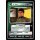 Jenok