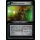 Warriors Birthright
