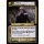 Amaros, Earnest Vanguard