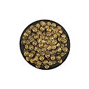 26 Hoard Scarab Larva Swarm