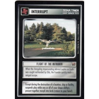 Flight of the Intruder