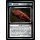 019 Ceti Eel