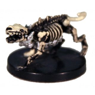 57 Wolf Skeleton