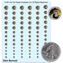 Clan Burrock - Decals