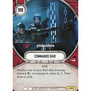 103 Commando Raid