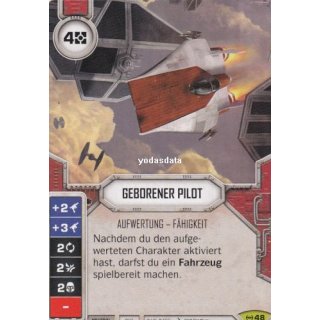 048 Geborener Pilot + Würfel