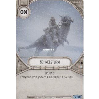 160 Schneesturm