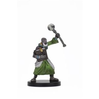 38 Human Arcanist