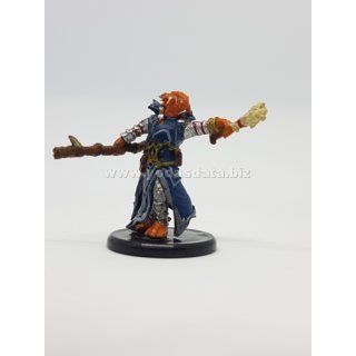 12a Dragonborn Draconic Sorcerer (Blue Robe)