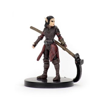 16 Jaethal, Elf Inquisitor