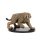 30 Smilodon