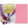 Dragon Shield: Standard Sleeves - Matte (100 Sleeves) - Pink