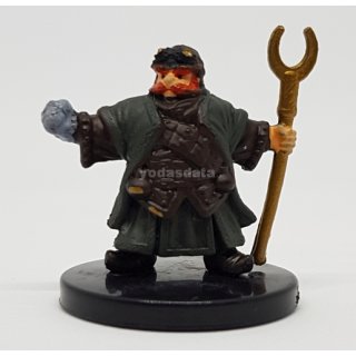 17 Dwarf Wizard