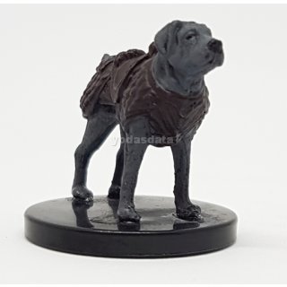 21 Riding Dog