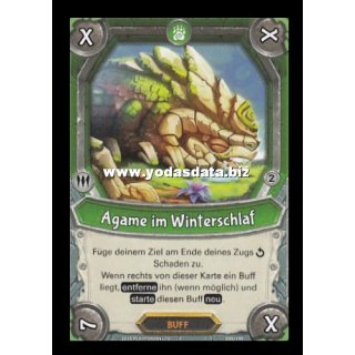 099 Agame im Winterschlaf