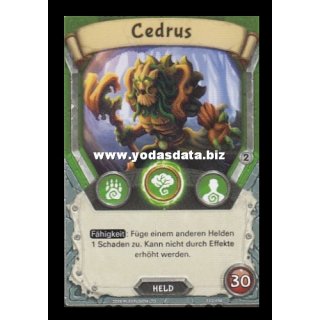 112 Cedrus