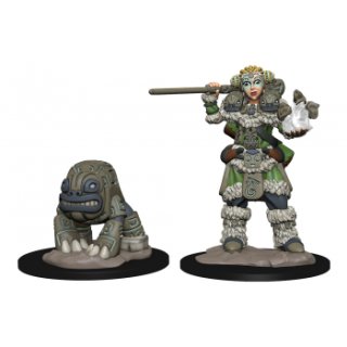 WizKids Painted Miniatures - Girl Druid & Stone Creature
