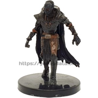 23 Wight