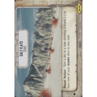179 Salt Flats - Crait