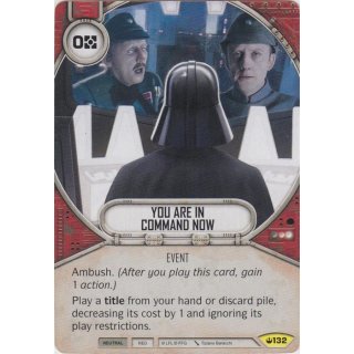 132 You Are In Command Now