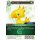 Chocobo (6-050C) FOIL