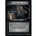 Counterinsurgency Program