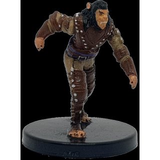 Shifter Rogue