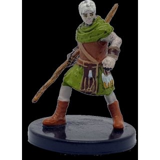 Shifter Druid