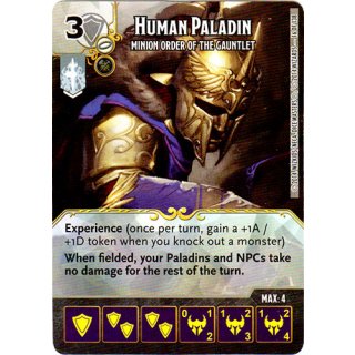 Human Paladin: Minion Order of The Gauntlet