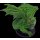 Large Green Dragon