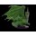 Large Green Dragon