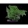 Large Green Dragon