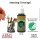 The Army Painter: Warpaints - Angel Green