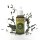The Army Painter: Warpaints - Elf Green