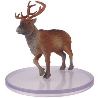 27 Reindeer