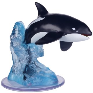 30 Killer Whale