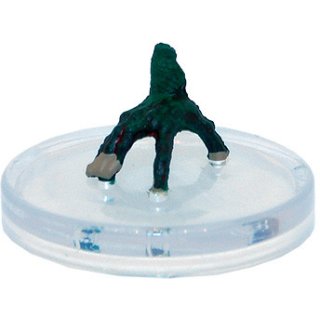03 Crawling Hand
