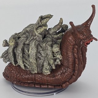 41 Bone Whelk