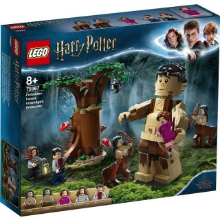 LEGO Harry Potter - 75967 Der Verbotene Wald: Begegnung mit Umbridge