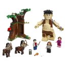 LEGO Harry Potter - 75967 Der Verbotene Wald: Begegnung mit Umbridge