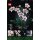 LEGO Botanicals - 10311 Orchidee