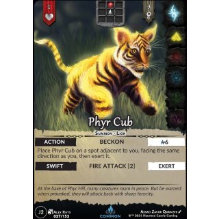 047 - Phyr Cub