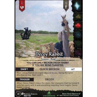 062 - Decoy Rabbit
