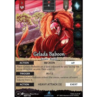 067 - Gelada Baboon