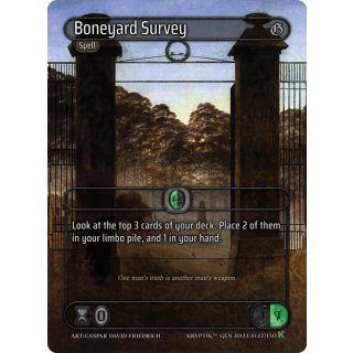 127 - Boneyard Survey