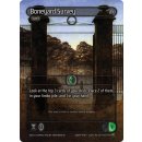 127 - Boneyard Survey