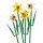 LEGO Botanicals - 40747 Narzissen