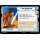 005 - Luke Skywalker - Faithful Friend - Leader