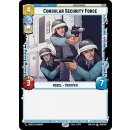 046 - Consular Security Force - Unit