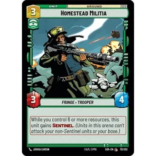 113 - Homestead Militia - Unit